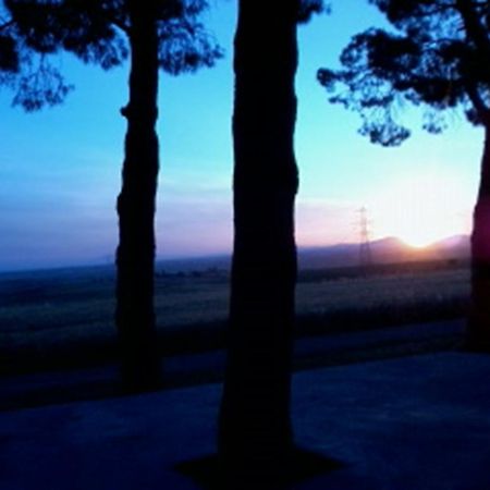 Agriturismo Toscanella 몬테벨로 외부 사진