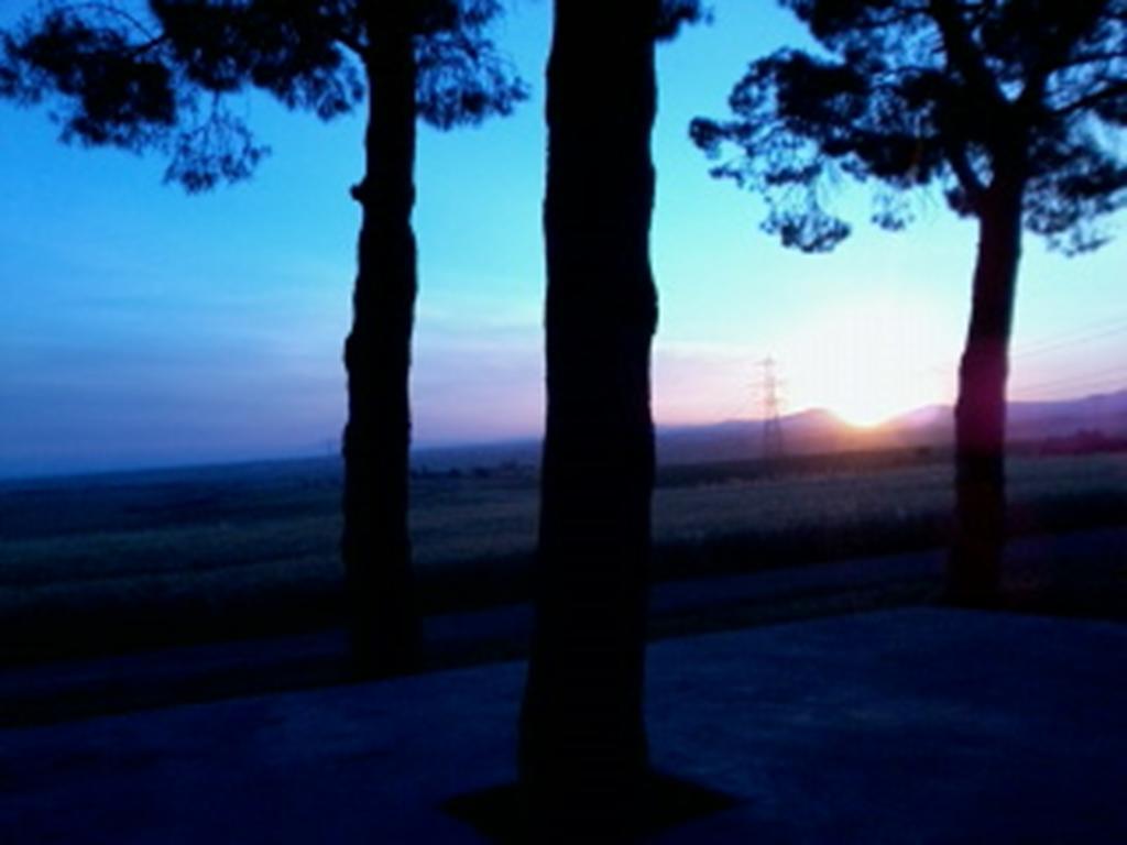 Agriturismo Toscanella 몬테벨로 외부 사진