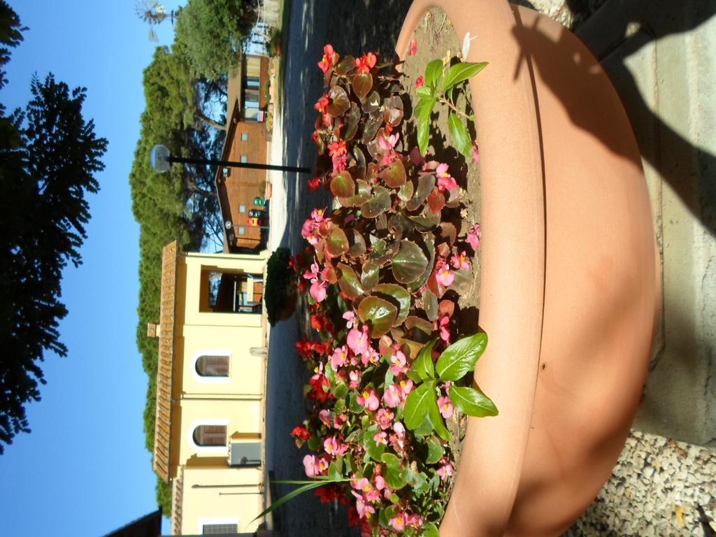 Agriturismo Toscanella 몬테벨로 외부 사진